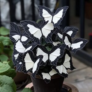 Ultimate Guide to Growing and Caring for Begonia Moonlight Butterfly ...