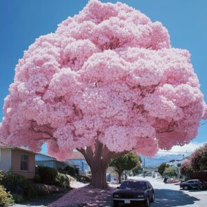 Tree 'Pink Blossom'