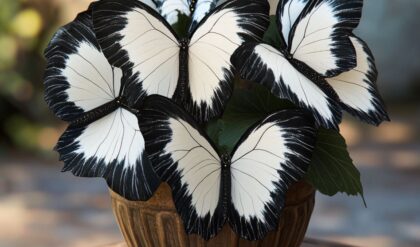 Begonia Moonlight Butterfly plant with elegant black and white butterfly-shaped leaves in a rustic brown pot.