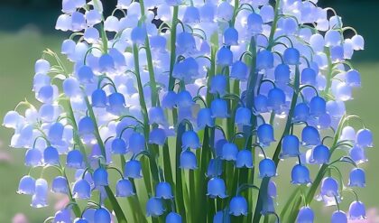 Lily of the Valley plant with vibrant blue bell-shaped flowers in a green garden