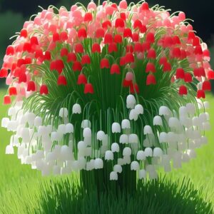 Lily of the Valley plant with a mix of red, pink, and white bell-shaped flowers in a green garden