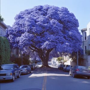 Large purple tree in the middle of a city street