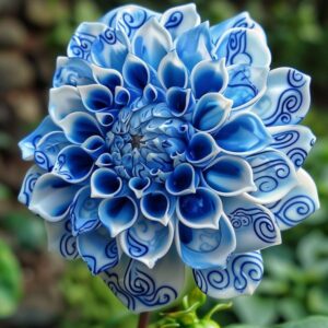 Exquisite Blue and White Dahlia with Swirling Petal Designs