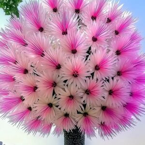 "Dragon Tree Flower (Dracaena cinnabari) with vibrant pink and white blossoms in a unique floral pattern