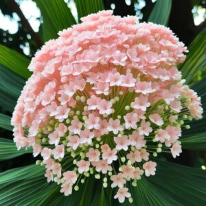 Close-up of charming pink and white bell-shaped flowers