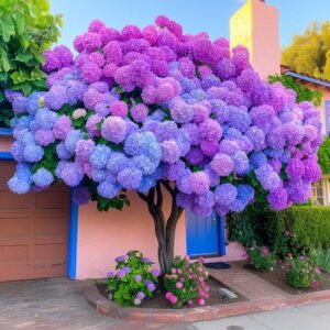 Vibrant tree with purple and blue hydrangea flowers