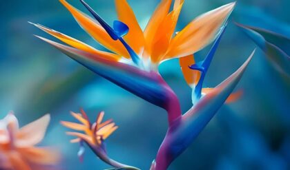 "Vibrant orange and blue bird of paradise flower against a blurred background."