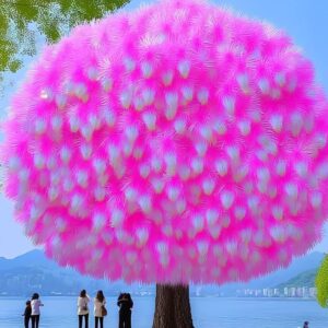 A vibrant Dragon Tree Flower (Dracaena cinnabari) with pink and white fluffy blossoms, overlooking a scenic lake with people admiring it.