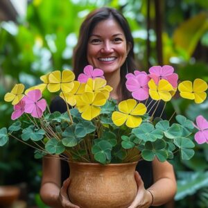 A woman smiling while holding a pot of colorful Butterfly Plant (Oxalis triangularis) with pink and yellow flowers.