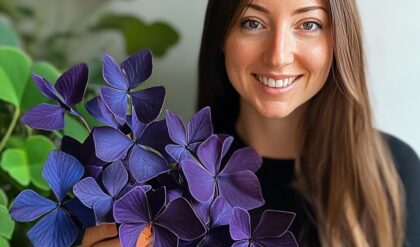 A woman holding a vibrant purple Butterfly Plant (Oxalis triangularis) in her hand.